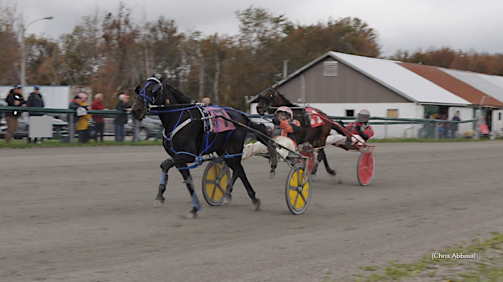 'Feisty' Filly First In Pinkney Memorial 'Feisty' Filly First In Pinkney Memorial