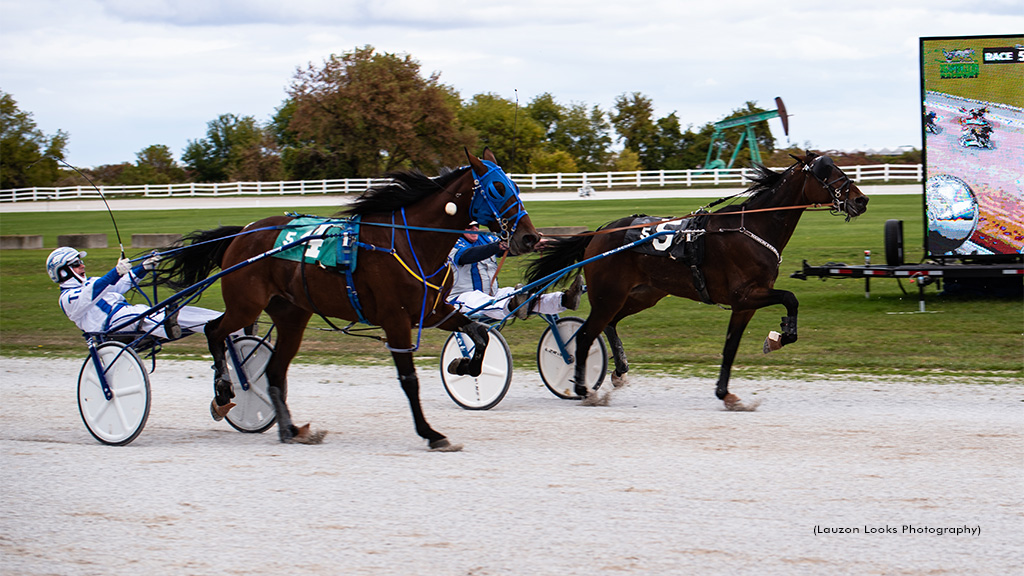 Shouldaknownbetter Knows Best At Leamington