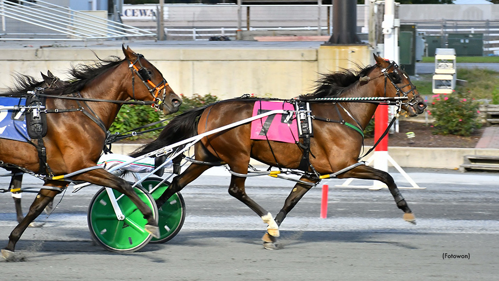 Slipinsidewayz Takes DSBF Final At Harrington