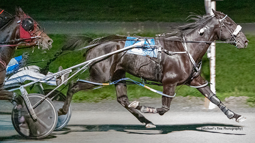 Sunshine Boy Triumphs In Fraser Preferred