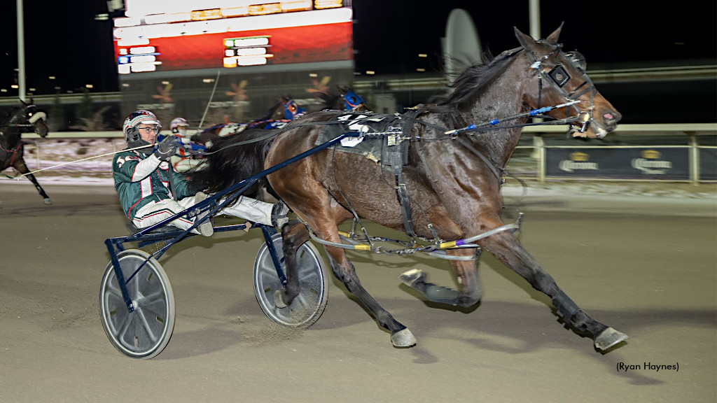 Sunshineatthebeach Circles Century Mile Mares