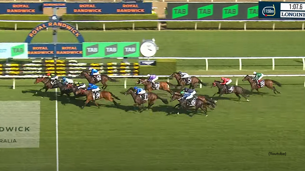 Horseplayer Scores Improbable Win Horseplayer Scores Improbable Win