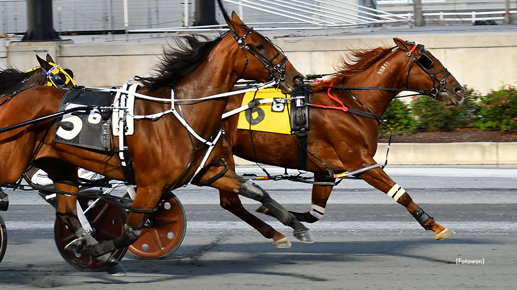 Tae Three-Peats In Harrington Open