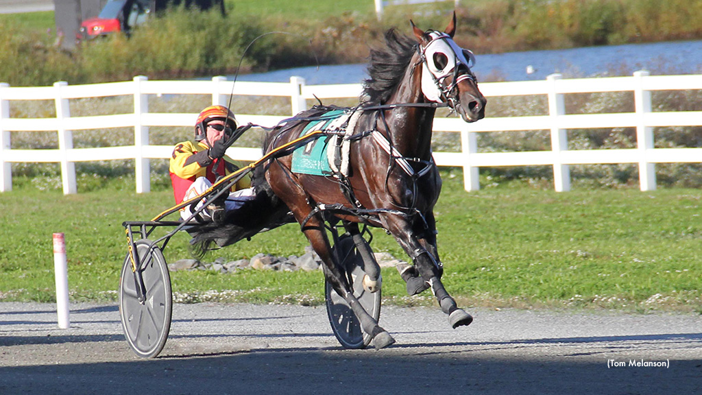 The Wild Card Was No Joker In Plainridge Pace The Wild Card Was No Joker In Plainridge Pace