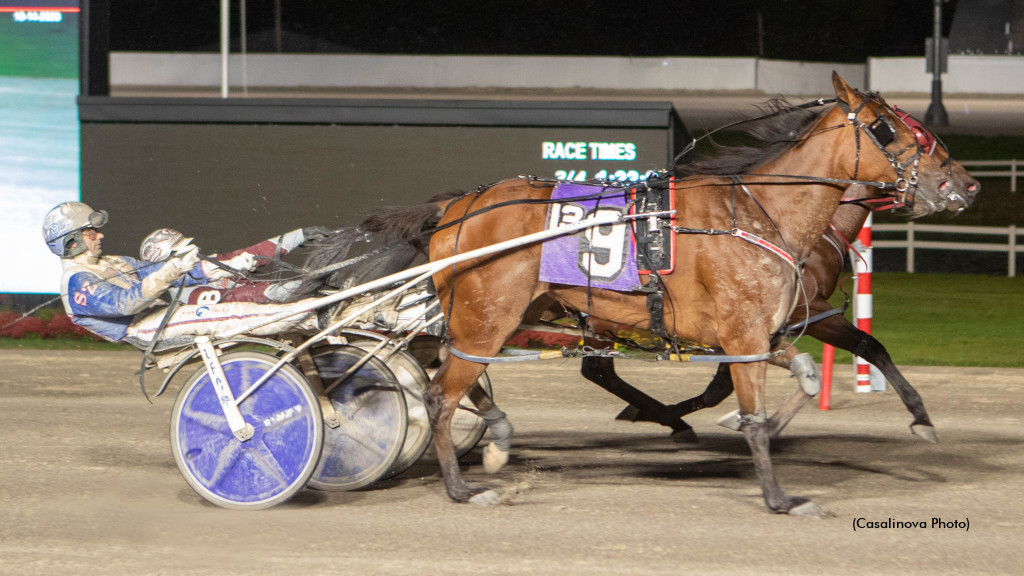 Fillies Dead Heat In Thrilling Courageous Lady
