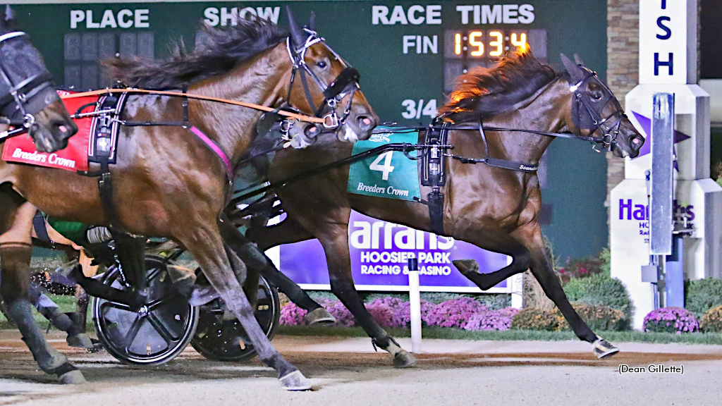 Warrawee Michelle Kicks Off Breeders Crown Championships