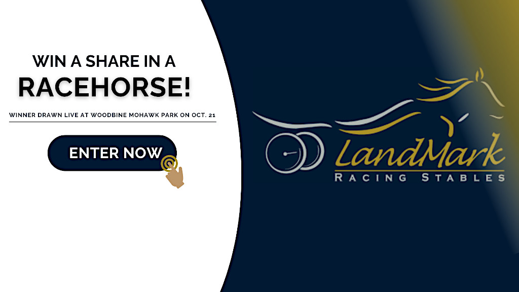 Enter To Win A Share In A Racehorse!