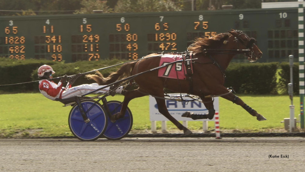 NJSS-SDF Finals Conclude At Freehold 