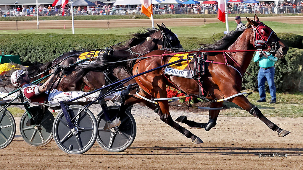 Zanatta Looks To Continue Success In Courageous Lady