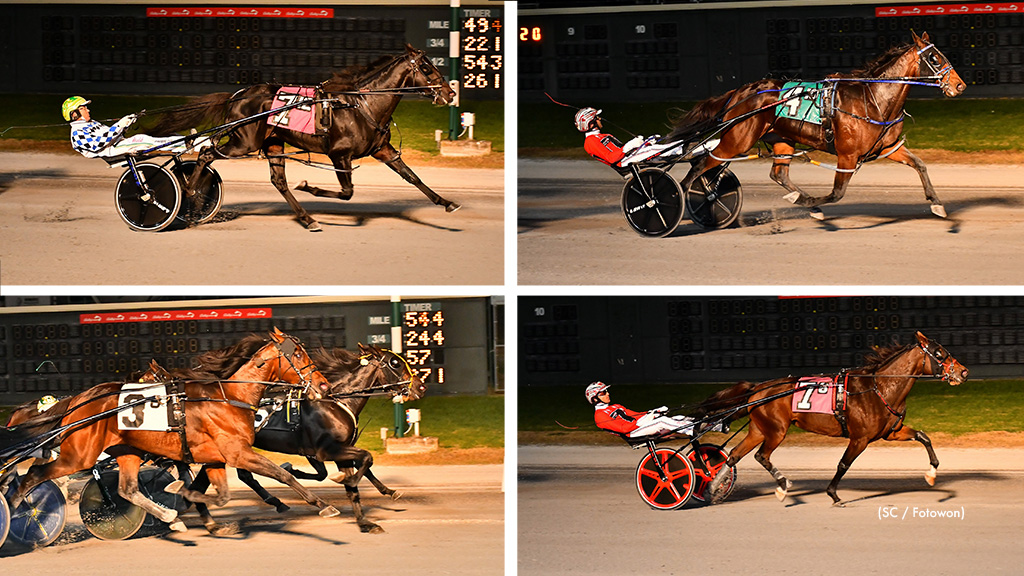Confederate Shines In Matron At Dover