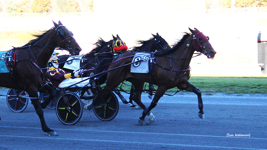 Alta Classic A Bounces Back At Plainridge