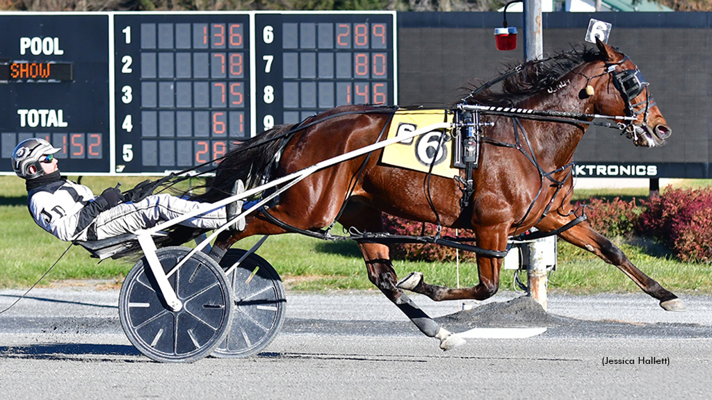Saratoga's Star Distaffer Rebounds In Open