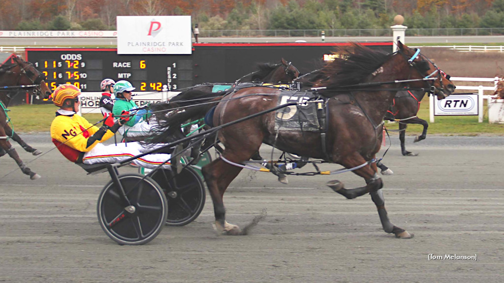 Plainridge Pace Produces Prize-Winning Pair