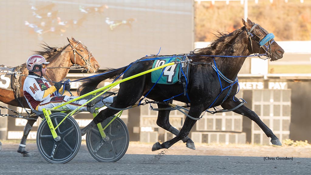Better B Bold Wins Stateside Debut