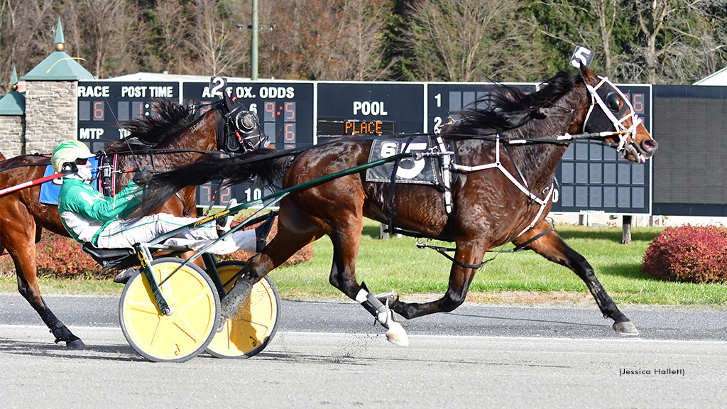 Big Box Hanover Earns Saratoga Open Trot Victory