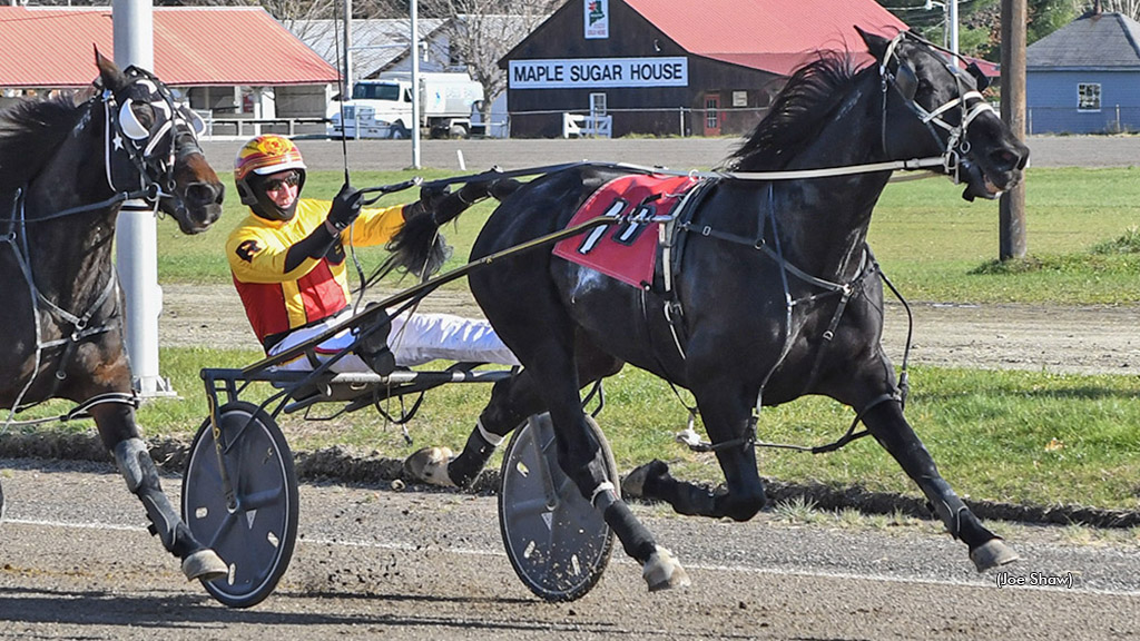 Broadway Giant Towers Over Maine Trotters
