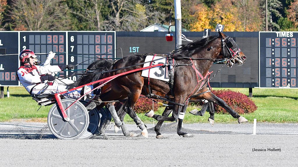 Sophomore Upsets Saratoga Open Trotters