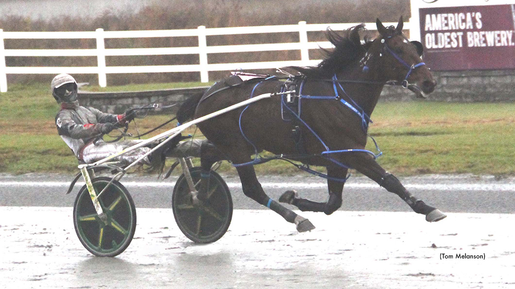 Beckwith Wins Five Of Eight At Plainridge