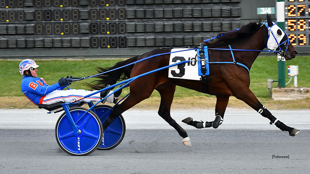 Daburg Decimates DSBF Distaffers