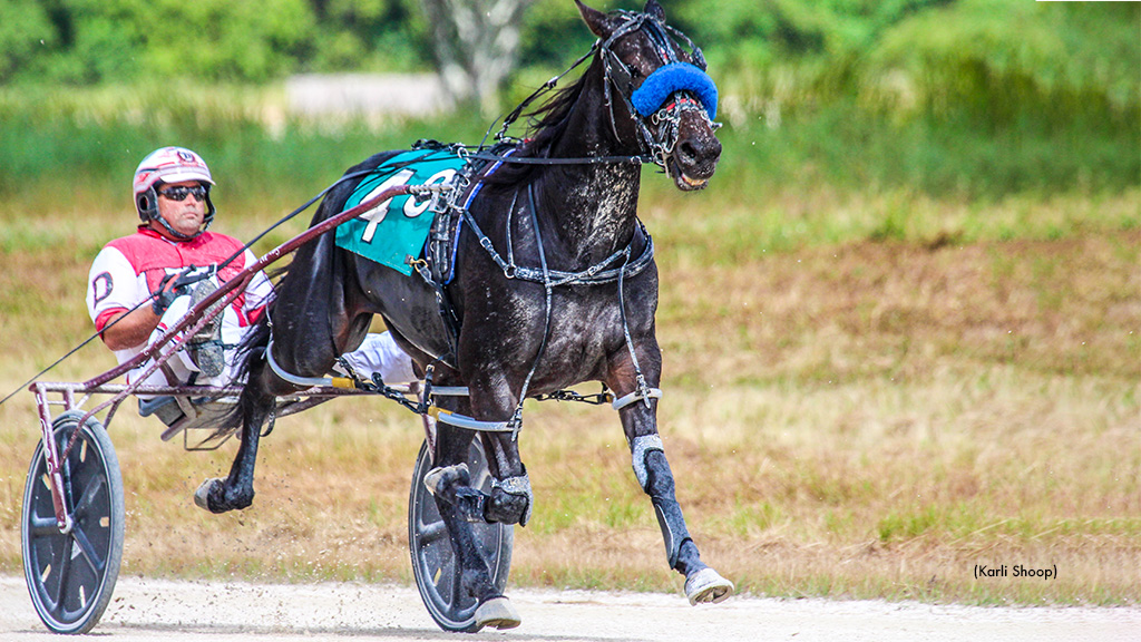 FSBOA Stakes Underway At Sunshine Meadows