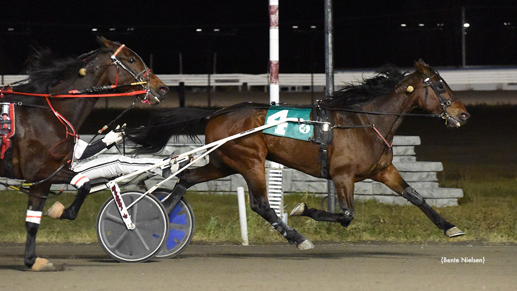 Fix A Drink Back On Top In Rideau Preferred