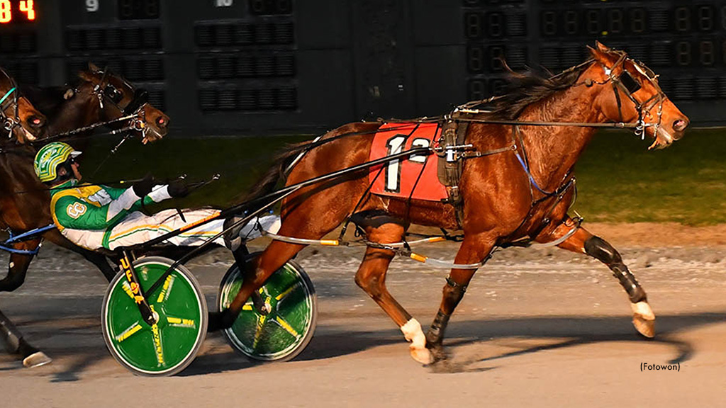 Gaitway Guy Strong In DSBF Pacing Prelim