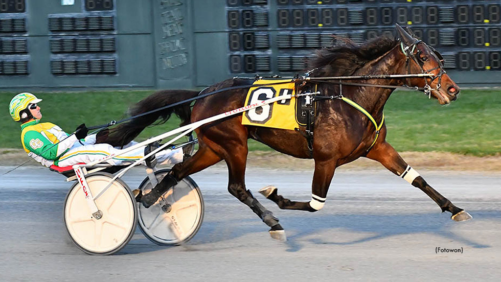 Going Platinum Repeats In DSBF Filly Trot