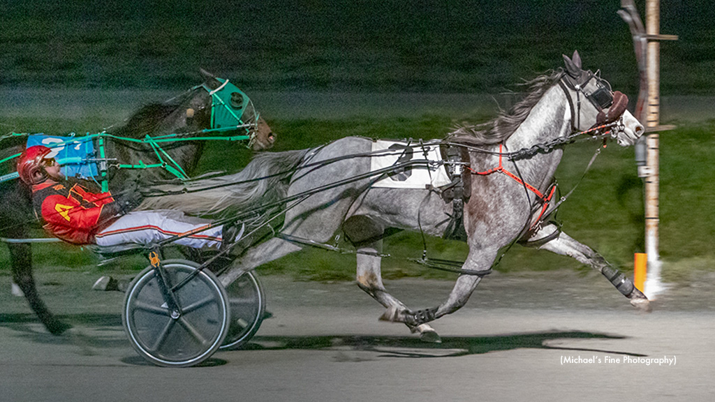 Grey Sea Upsets In Fraser Distaff Preferred