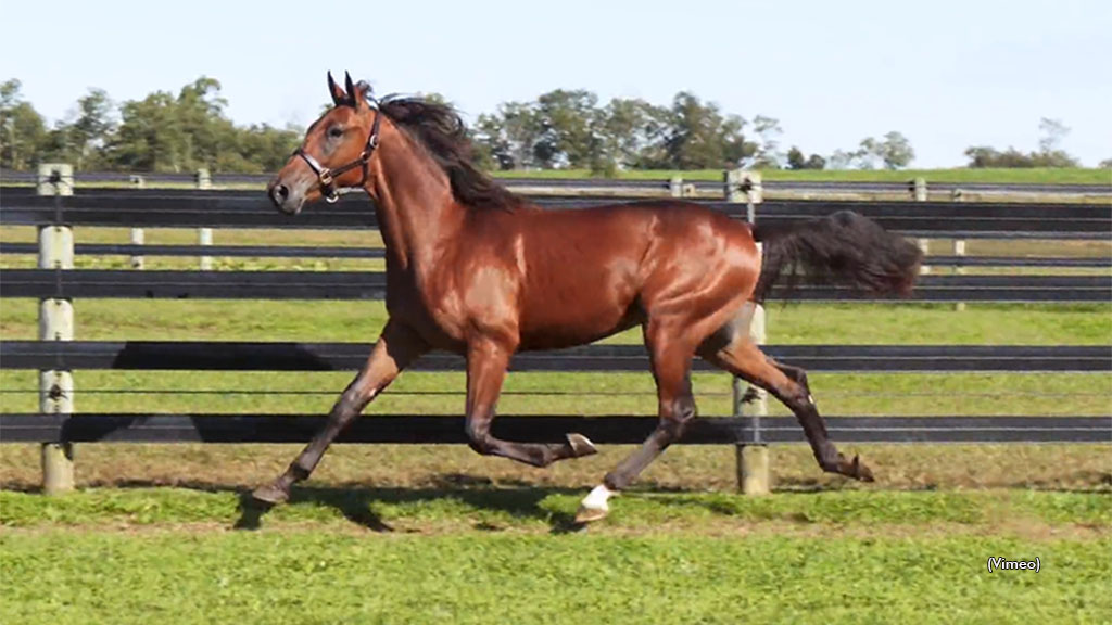 Well-Bred Maidens Win Pocono Qualifiers
