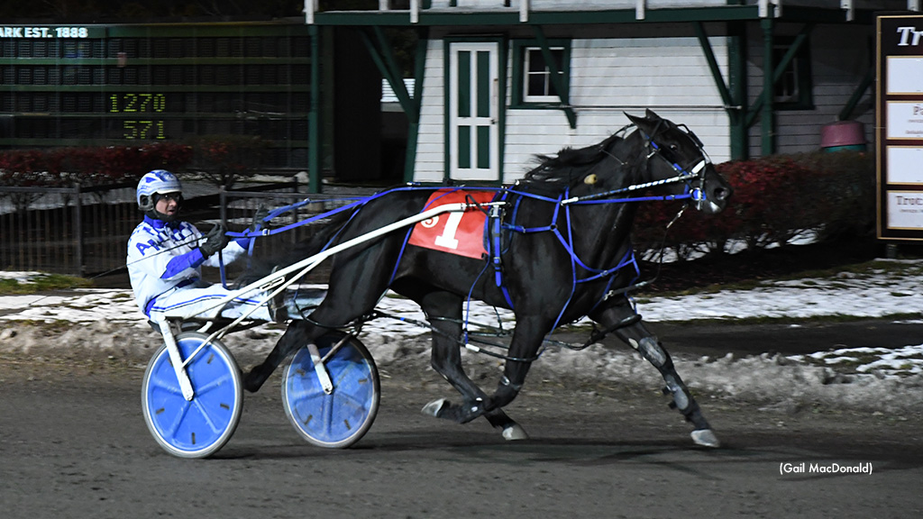 High Roller Stuns Charlottetown 