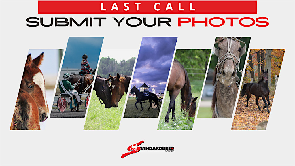 Final Call for 2024 Calendar Photos Final Call for 2024 Calendar Photos