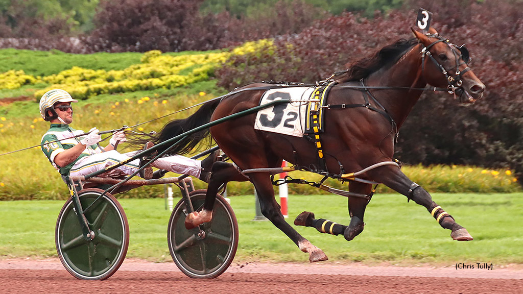 Lous Pearlman Retired To Stand Stud Lous Pearlman Retired To Stand Stud
