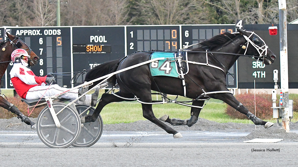 Magical Maya A Wins North American Debut
