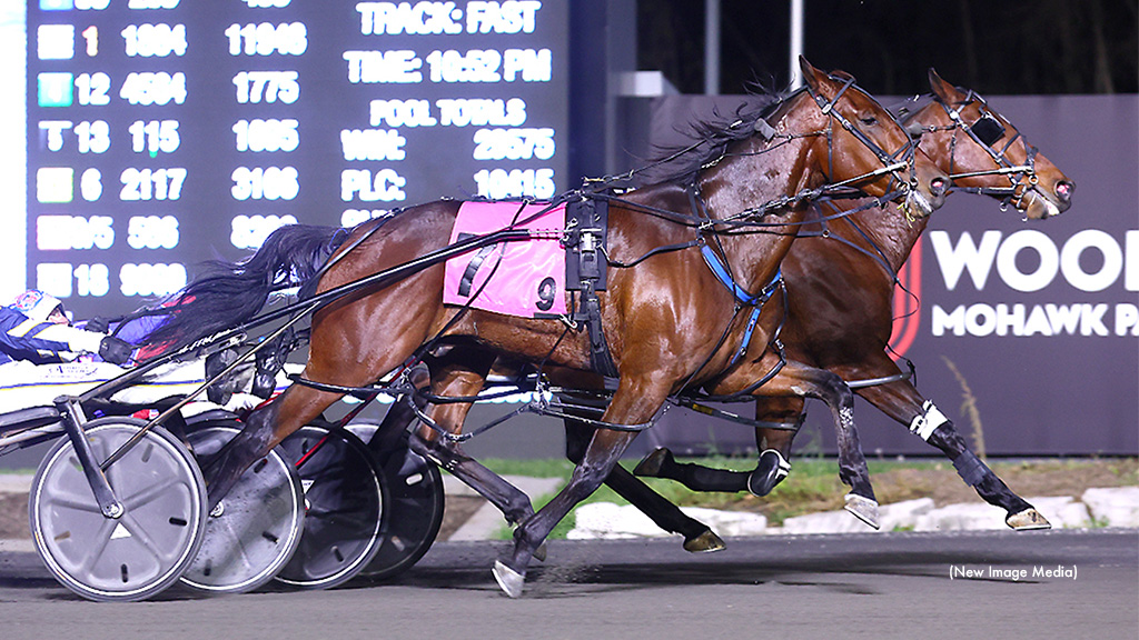 Points North Headlines Mohawk Saturday; Sintra Retired