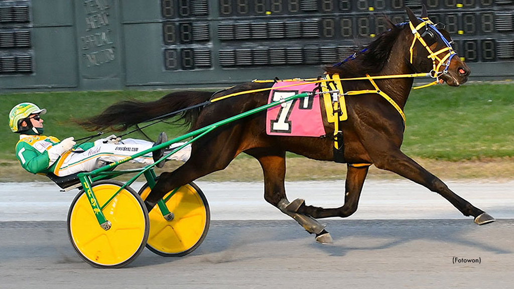 Upsets Abound In DSBF Rookie Trot Prelims