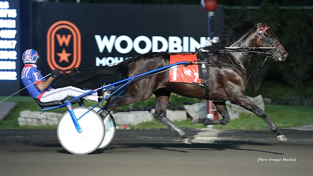 Run Director To Stand Stud In 2024