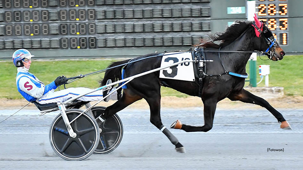 Stafford Sweeps DSBF Filly Trots