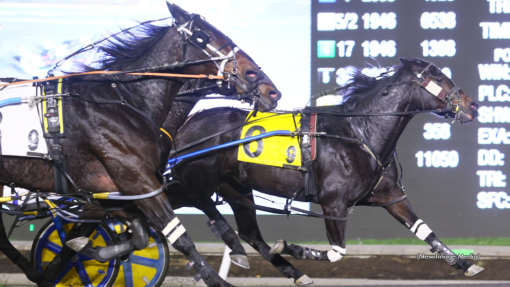 So Much More Prevails In Battle Of O'Brien Winners