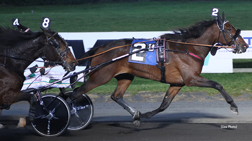 Fields Set For Big M's Fall Final Four