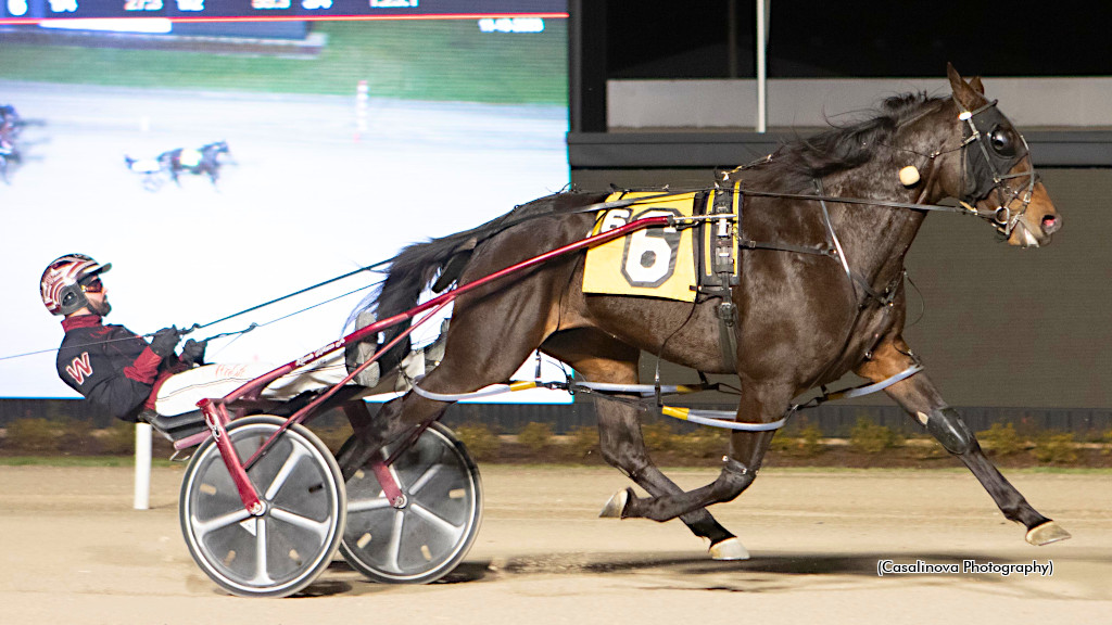 Southwind Bella Dazzles In Northfield Open