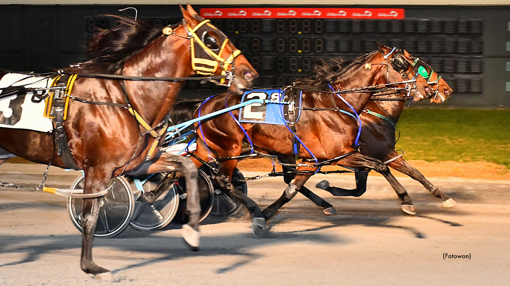 Stockade Seelster, Cannibal Take Progress Pace Elims