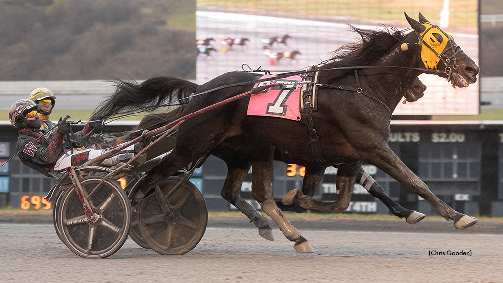 Tequila Talkin Wins Meadows Open; Indof Wins Five