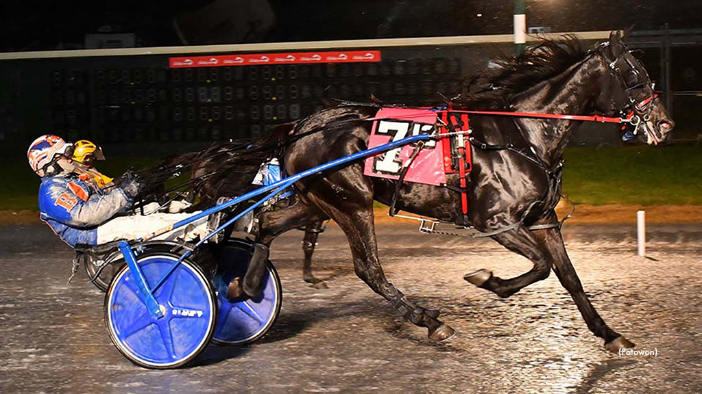 Trout Master Springs DSBF Upset