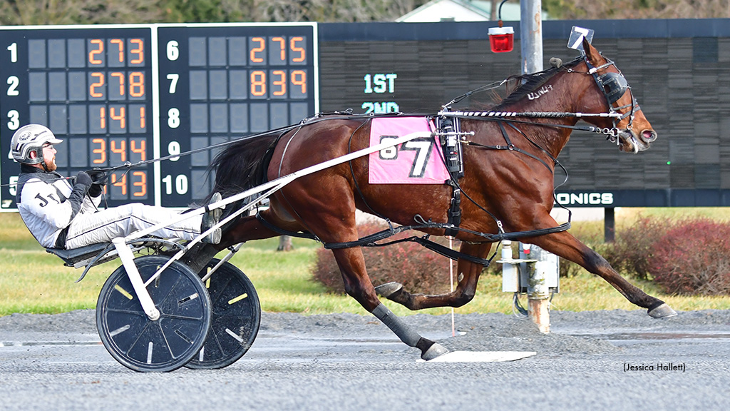 Always Watching Continues Saratoga Distaff Dominance