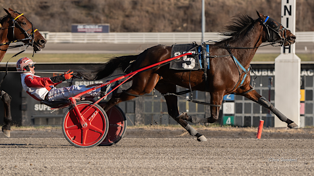 Chase H Hanover Delivers At The Meadows