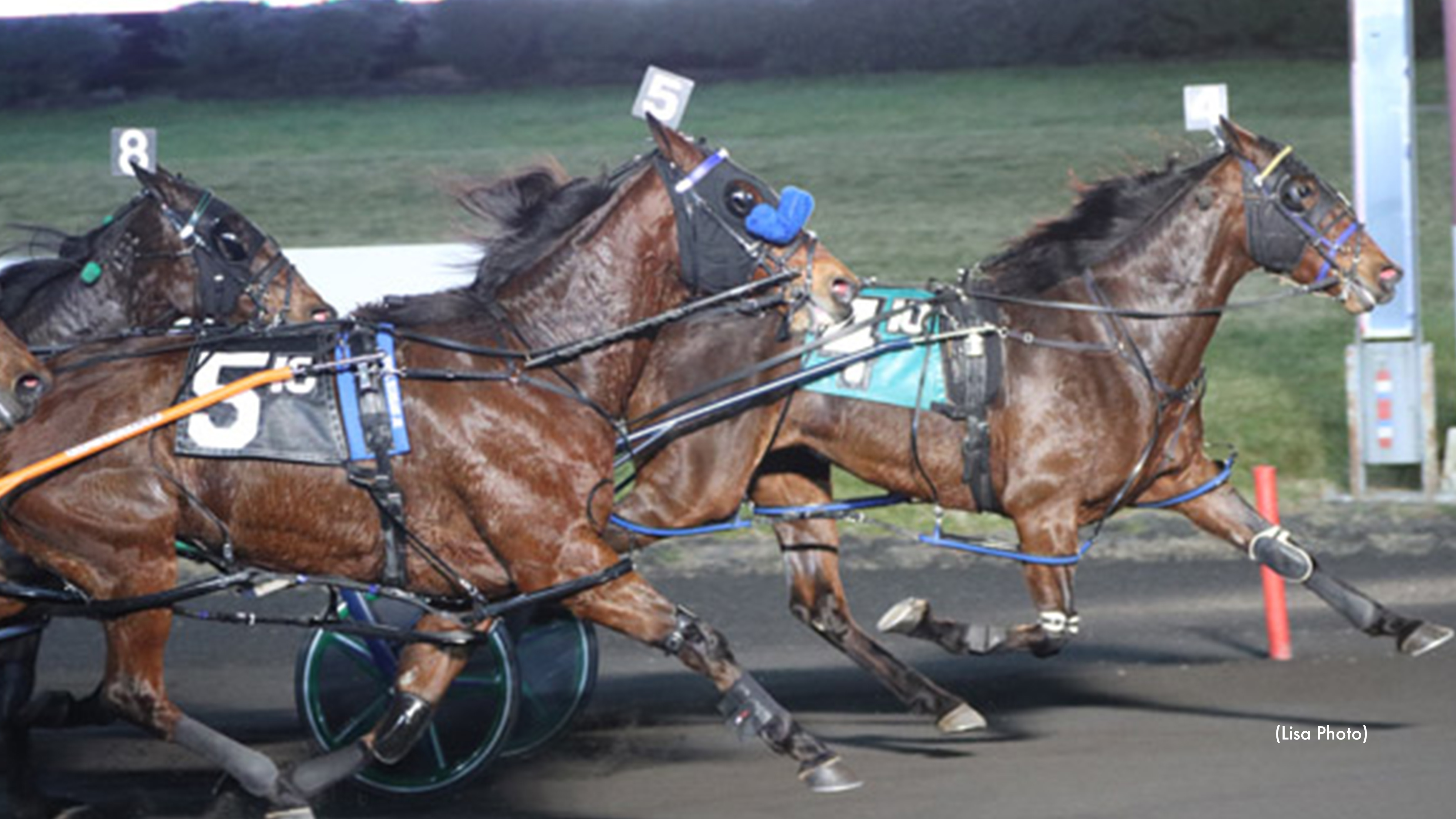 McCarthy, Coachellabound Best At The Meadowlands McCarthy, Coachellabound Best At The Meadowlands