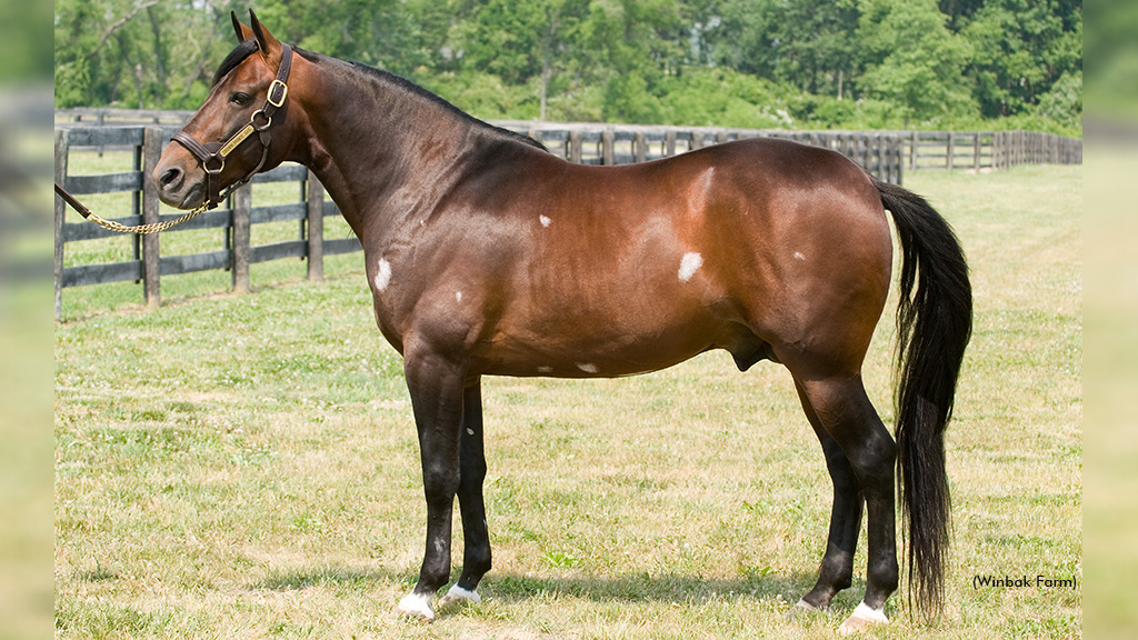 Crown Prince Gar Passes