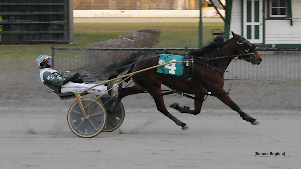 Dreamfair Zenfire Bows Farewell At Red Shores