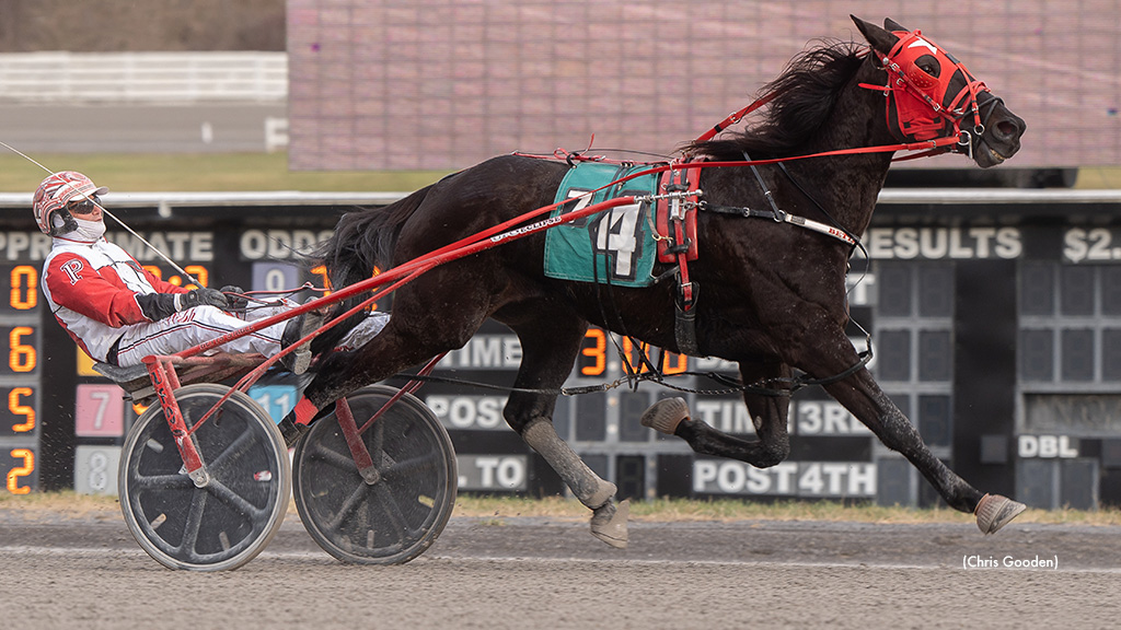 Emeralds Legacy Scores In Meadows Open