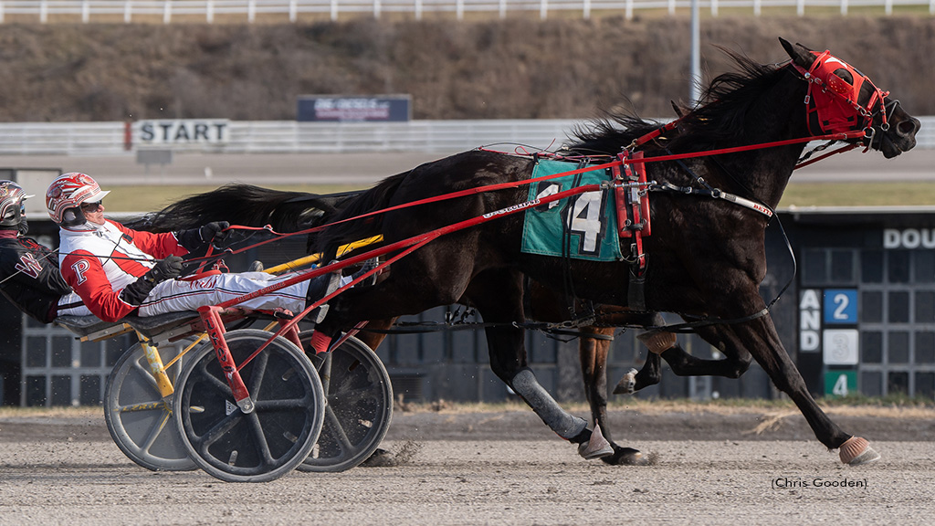 Emeralds Legacy Tops Meadows Open Trot